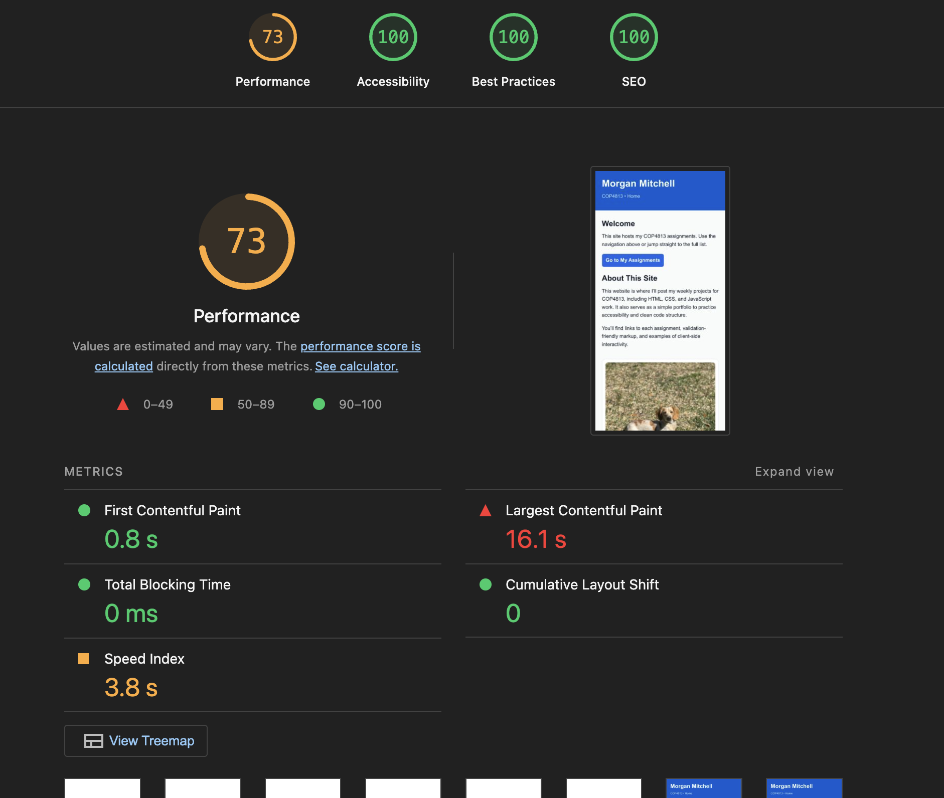 Performance audit details and opportunities from Lighthouse.